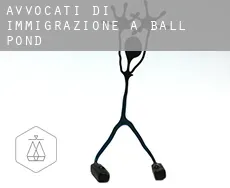 Avvocati di immigrazione a  Ball Pond