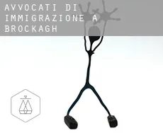 Avvocati di immigrazione a Brockagh