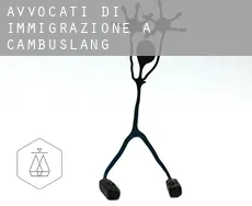 Avvocati di immigrazione a  Cambuslang