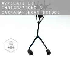 Avvocati di immigrazione a  Carranahingan Bridge