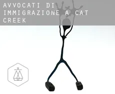 Avvocati di immigrazione a  Cat Creek
