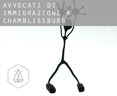 Avvocati di immigrazione a  Chamblissburg