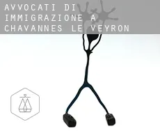Avvocati di immigrazione a Chavannes-le-Veyron
