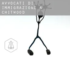 Avvocati di immigrazione a  Chitwood
