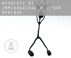 Avvocati di immigrazione a  Clear Springs