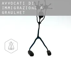 Avvocati di immigrazione a Graulhet