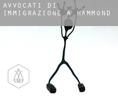 Avvocati di immigrazione a  Hammond