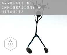 Avvocati di immigrazione a  Hitchita