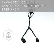 Avvocati di immigrazione a Horní Štěpánov