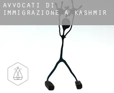 Avvocati di immigrazione a  Kashmir