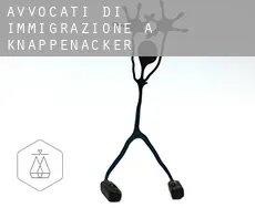 Avvocati di immigrazione a  Knappenacker