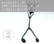 Avvocati di immigrazione a  La Limouzinière
