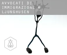 Avvocati di immigrazione a  Ljunghusen