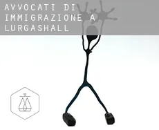 Avvocati di immigrazione a Lurgashall