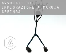 Avvocati di immigrazione a Maruia Springs