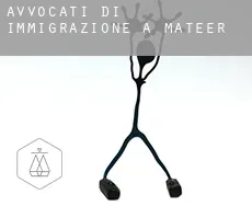 Avvocati di immigrazione a  Mateer