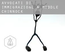 Avvocati di immigrazione a  Middle Chinnock