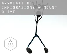 Avvocati di immigrazione a  Mount Olive