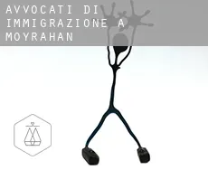 Avvocati di immigrazione a Moyrahan