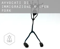 Avvocati di immigrazione a  Open Fork