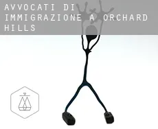 Avvocati di immigrazione a  Orchard Hills
