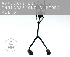 Avvocati di immigrazione a  Pedro Velho