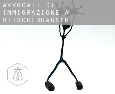 Avvocati di immigrazione a  Ritschenhausen