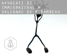 Avvocati di immigrazione a  Salignac-de-Mirambeau