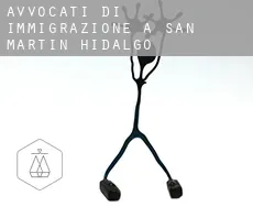 Avvocati di immigrazione a  San Martin Hidalgo