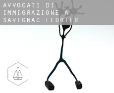 Avvocati di immigrazione a  Savignac-Lédrier