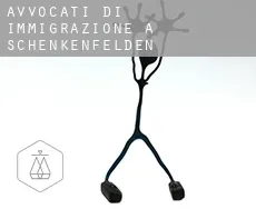 Avvocati di immigrazione a  Schenkenfelden