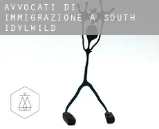 Avvocati di immigrazione a  South Idylwild