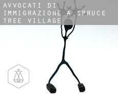Avvocati di immigrazione a Spruce Tree Village