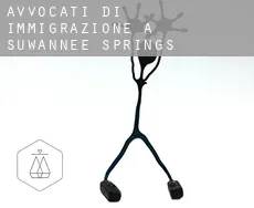 Avvocati di immigrazione a  Suwannee Springs