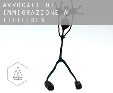 Avvocati di immigrazione a  Tietelsen