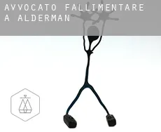 Avvocato fallimentare a  Alderman