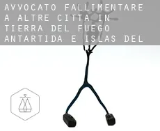 Avvocato fallimentare a  Altre città in Tierra del Fuego, Antartida e Islas del Atlantico Sur