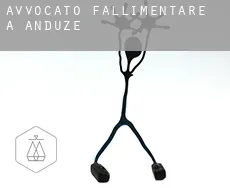 Avvocato fallimentare a  Anduze