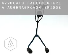 Avvocato fallimentare a  Aughnagroagh Bridge