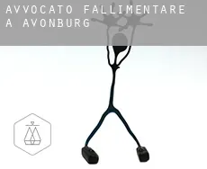 Avvocato fallimentare a  Avonburg
