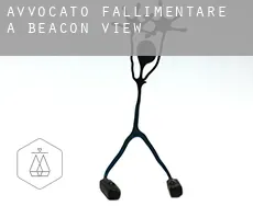 Avvocato fallimentare a  Beacon View
