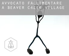 Avvocato fallimentare a  Beaver Creek Village