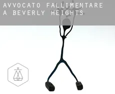 Avvocato fallimentare a Beverly Heights