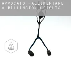 Avvocato fallimentare a  Billington Heights