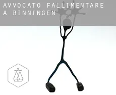 Avvocato fallimentare a  Binningen