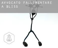 Avvocato fallimentare a  Bliss