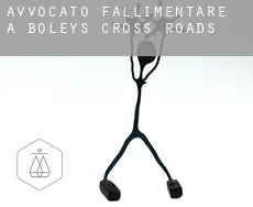 Avvocato fallimentare a  Boley’s Cross Roads
