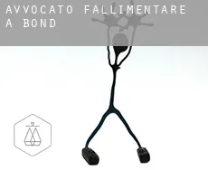 Avvocato fallimentare a  Bond