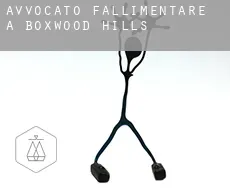 Avvocato fallimentare a  Boxwood Hills