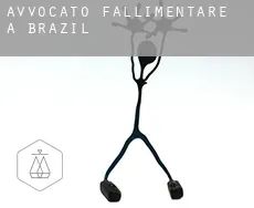 Avvocato fallimentare a Brazil